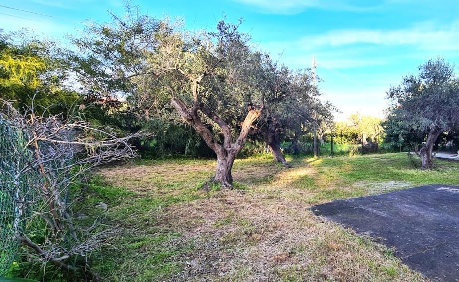 Giardino San Nicola Villa Trabia Luaran gambar